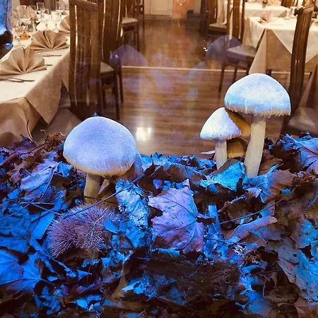 Hotel Caligiuri Decollatura