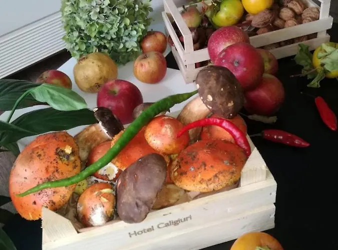 Hotel Caligiuri 3* Decollatura