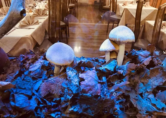 Hotel Caligiuri Decollatura