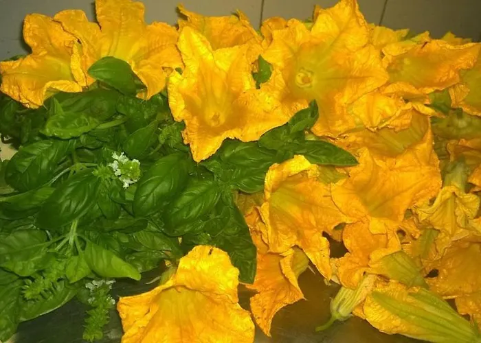 Hotel Caligiuri 酒店